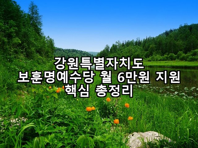 강원특별자치도 보훈명예수당 월 6만원 지원 핵심 총정리